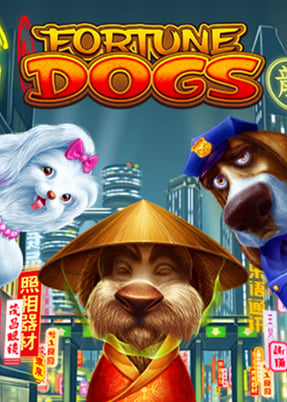 Fortune Dogs