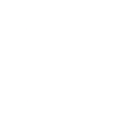 E-Sport