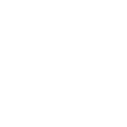 Caballos